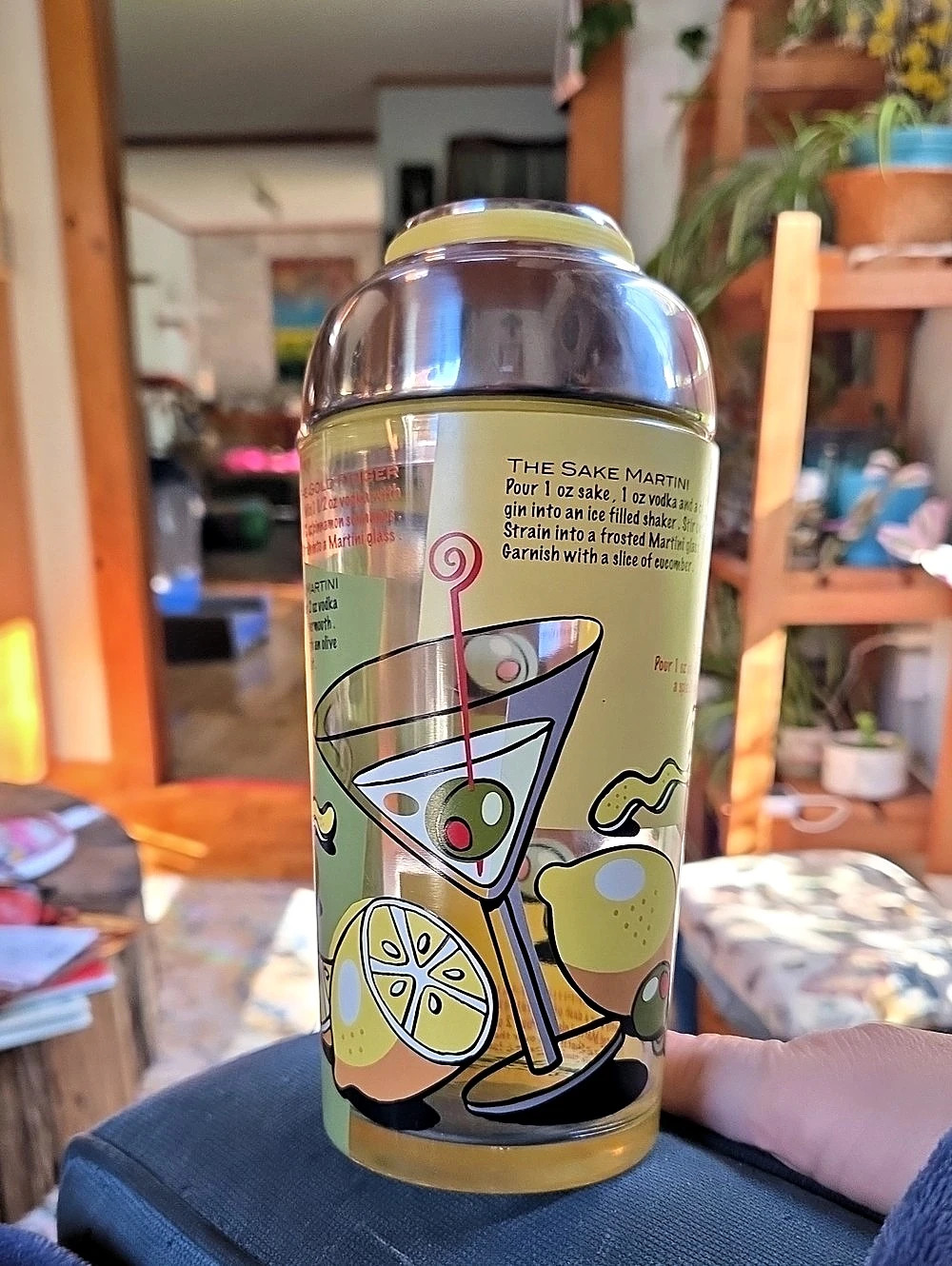 Retro Glass Martini Cocktail Shaker with Printed Recipes | Vintage-Style Barware